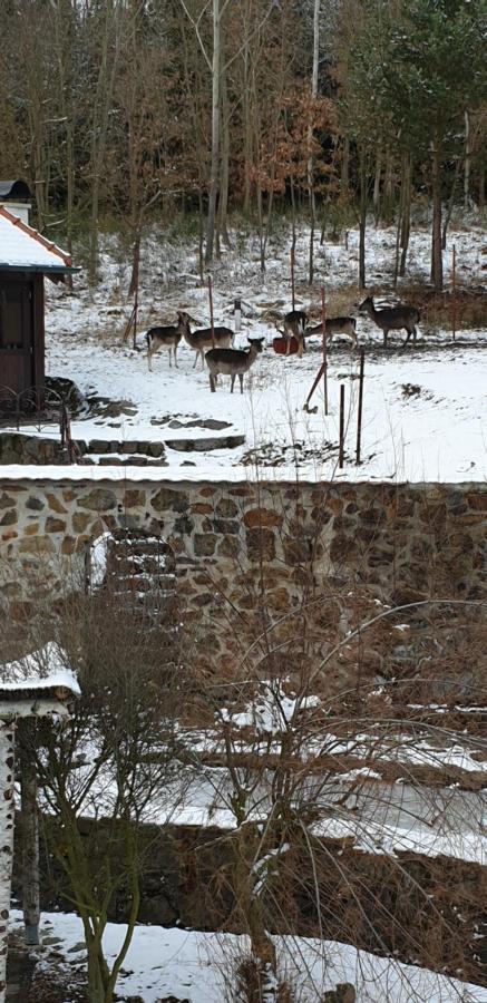 Hajovna Hnevnice Dış mekan fotoğraf