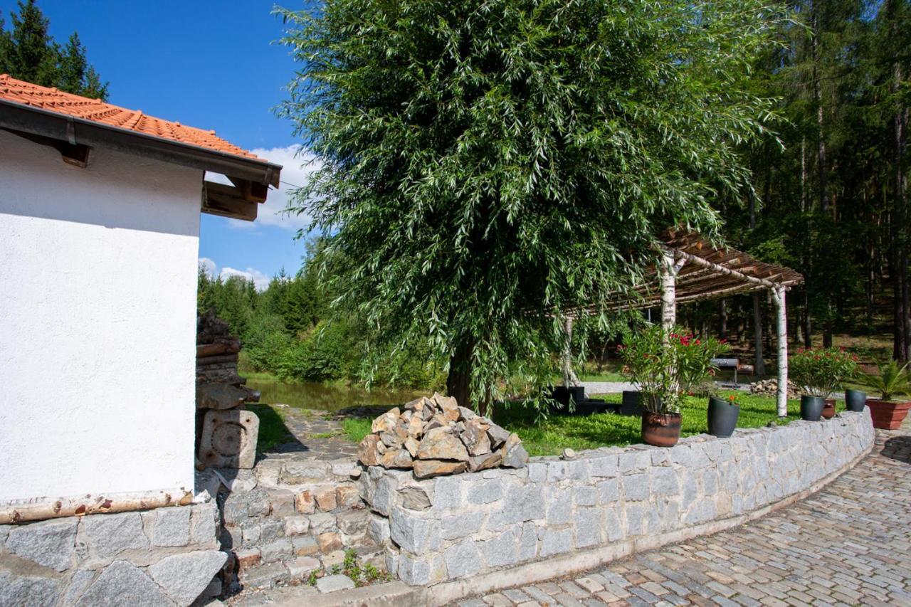 Hajovna Hnevnice Dış mekan fotoğraf